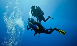 instructor de buceo profesional