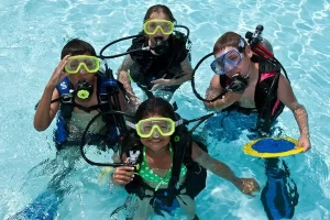 Padi Seal Team