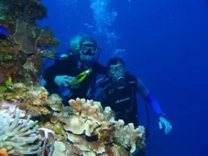 documentales marinos