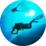 buceo