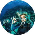 buceo en galapagos isla wolf