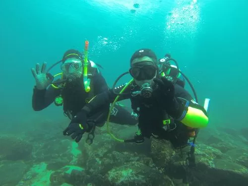 image-155-jpeg.webp Scuba Diver