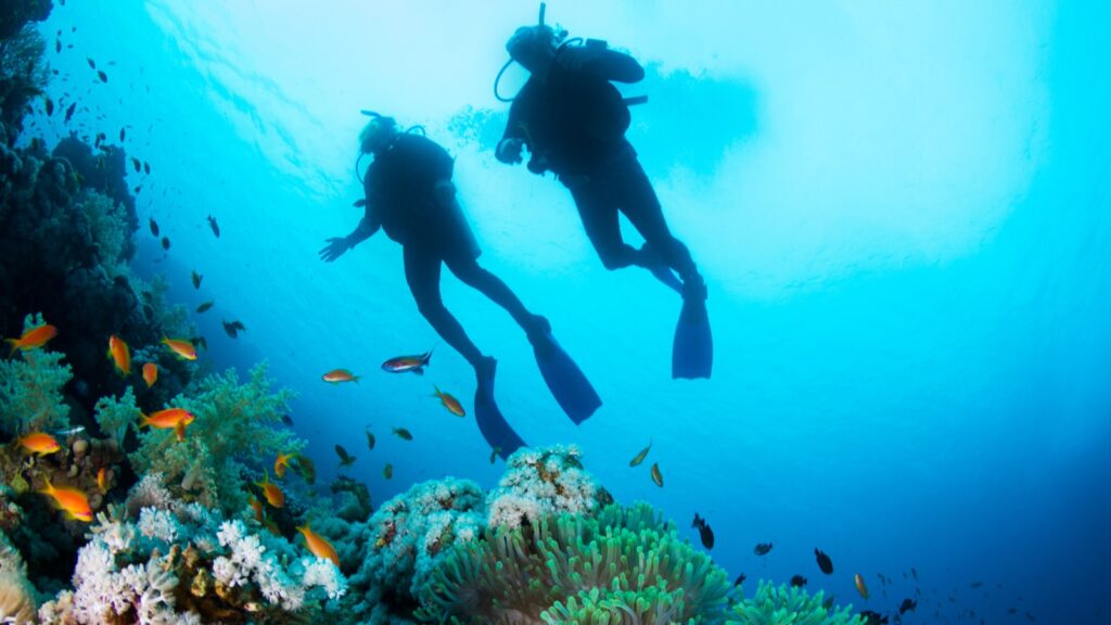 Curso Inicial Buceo - Open Water Diver PADI