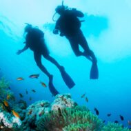 Curso Inicial Buceo - Open Water Diver PADI