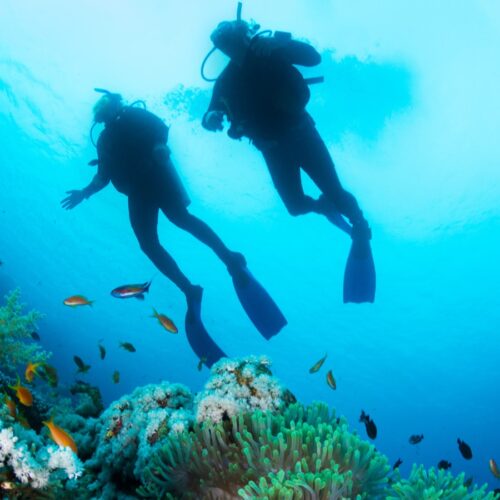 open-water-padi-iniciacion Open Water Diver - Curso Inicial