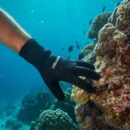 Guantes de Neopreno Aquasport Flex –  3mm y 5mm