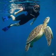 Pack Snorkeling Caribe Aquasport | Traje, Máscara, Snorkel y Aletas