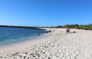Playa-Punta-Carola