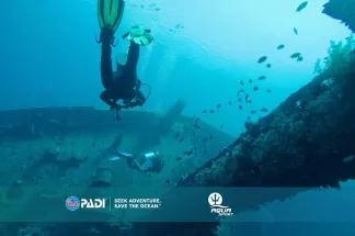 Advanced Open Water Diver online